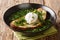 Summer Acorda Soup with cilantro, garlic, homemade bread and poached egg close-up in a plate. horizontal