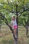 Summer Adventure: Little Girl Embraces Nature\\\'s Bounty in the Orchard