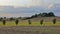 Summer afternoon in Moen. Striped rural lanscape.