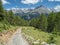 Summer Alpine landscape with country road in Val Malenco