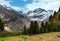 Summer Alps landscape (Austria).