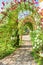 Summer arch covered by vine