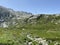 Summer atmosphere on the high alpine Swiss pastures in the mountain area of the St. Gotthard Pass Gotthardpass, Airolo