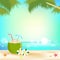 Summer background banner and frame with young coconut juice and