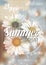 Summer background with chamomile and delicate blurred shining background. Summer party poster concept. Template for