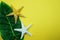 Summer Background concept with green leave and starfish decoration on yellow background