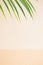 summer background concept.sandy colors beige with green palm tree.vacation sunny idea