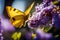 Summer background. Macro shot of an yellow butterfly flying over purple lilac flower.