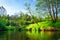 Summer background. Scenic green nature on river. Scenery riverside. Riverbank landscape