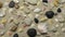 Summer background - seashells and stones on beach sand. Crane shot.