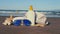 Summer background sun cream, shells,sunglases,summer hat and starfish on the sandy beach.