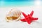 Summer background with white sand, starfish and shells