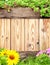 Summer background with wooden plank, butterfly, grass and green