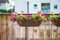 Summer balcony garden pots with petunia flowers