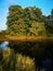 The summer Bank of the river. water surface, mirror image. Trees over water, Willow. The beautiful light of the sun