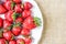 Summer banner strawberry harvest,red strawberries