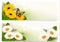 Summer banners with colorful flowers and butterfly.