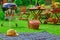 Summer Barbecue Family Party Scene Concept With Sign Welcome