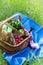 Summer basket for picnic with wine, bread, fruits and snacks