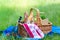 Summer basket for picnic with wine, bread, fruits and snacks