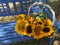 Summer Basket of Sunflowers in Virginia