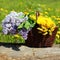 Summer basket with yellow dandelions and lilacs