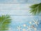 Summer beach background with palm leaves