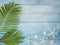 Summer beach background with palm leaves