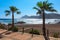 Summer beach, footpath and palm trees Spain.