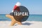 Summer Beach Friendship Holiday Tropical Vacation Concept