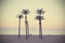 Summer beach landscape with palms, sunset, retro/vintage