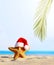 Summer beach. Merry Christmas. Starfish in Santa Claus hat.