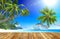 Summer Beach Paradise Travel Destination Concept