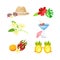 Summer beach party tropical set. Exotic flowers, tropical cocktail, pineapple glasses, hat and sunglasses vector