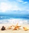 Summer beach. Seashell and starfish on a sand and ocean as background