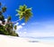 Summer Beach Tropical Paradise Seascape Concept