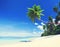 Summer Beach Tropical Paradise Seascape Concept