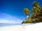 Summer Beach Tropical Paradise Seascape Concept
