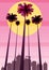 Summer beatiful sunset backgrounds with palms trees cityscape, sky horison. Vector illustration, isolated, template