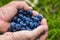 Summer berries blueberries and raspberries water droplets visible at 100%