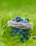 Summer berries blueberries water droplets in jar on grass