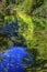 Summer Blue Green Colors Reflection Wenatchee River Washington