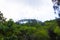 Summer bobsleigh track at Labadee island at Haiti at sunny day,