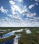 Summer in the bog. Trees, clouds and sky reflection in the swamp lake. Forest and marsh. Eevening in moor.