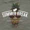 Summer Break Fun Pineapple Words Concept