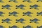 Summer bright concept - blue turtle on a yellow background. Seamless bright pattern