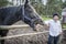 In summer  on a bright sunny day  a boy stands next to a horse on a ranch