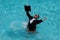 Summer business in swimming pool. Business man in suit and laptop splash water in swimming pool. Crazy summer business