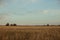 Summer calm steppe landscape on sunset