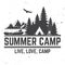 Summer camp. Vector illustration. Concept for shirt or logo, print, stamp or tee.